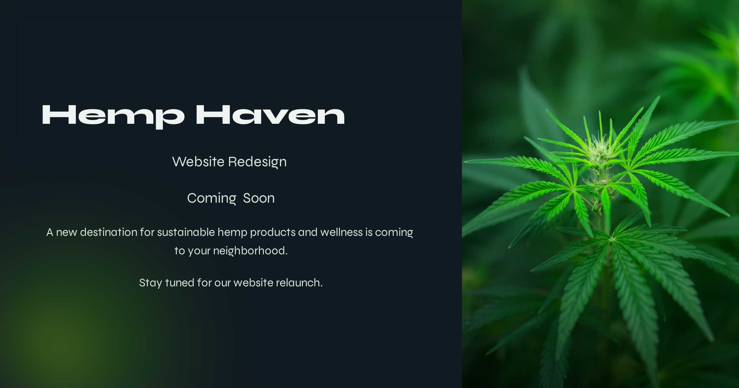 Hemp Haven Wellness Center